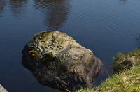 2014-04-19-12-52-48