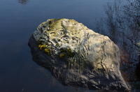 2014-04-19-12-53-21
