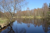 2014-04-19-12-54-04