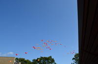2014-08-11-11-13-51
