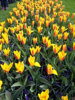 20130420 104739