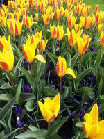 20130420 104758
