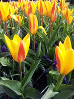 20130420 104806