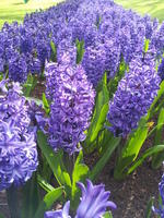 20130420 110538