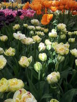 20130420 113611