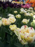 20130420 113615