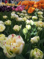 20130420 113619