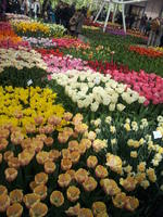 20130420 113703