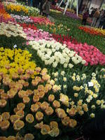 20130420 113708