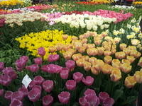 20130420 113730