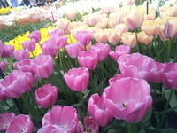 20130420 113756