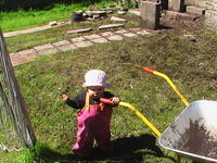 photo