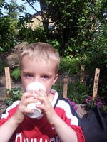 2012-06-15-15-24-40