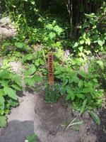 2012-06-15-15-26-32
