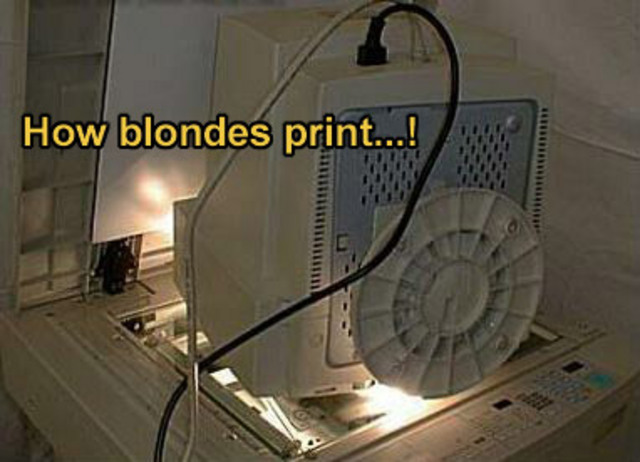 how_blondes_print
